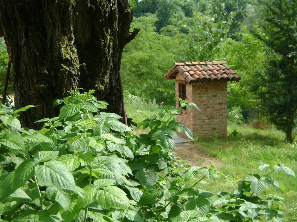 B&B Cascina Rossa Асти Экстерьер фото